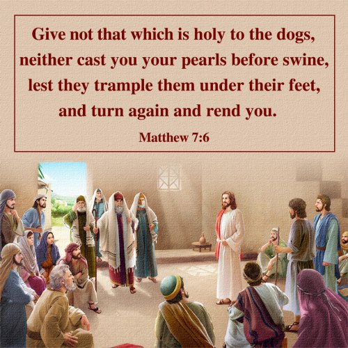 matthew chapter 7 verse 6 meaning