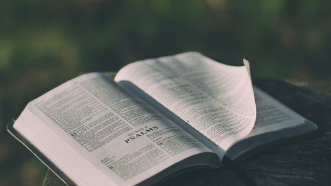 A Discussion – A New Understanding of the Bible