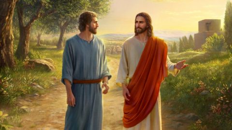 Why Did the Lord Jesus Approve of Peter’s Faith?