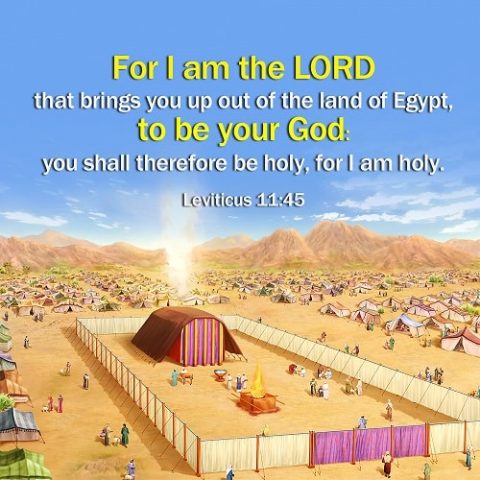 bible verse about tattoos leviticus bible verse about tattoos leviticus