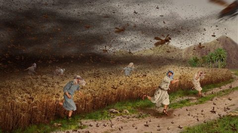 Ten Plagues of Egypt