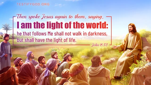 Bible Verses About Hope, John 8:12 I am the light of the world: he that follows me shall not walk in darkness, but shall have the light of life.