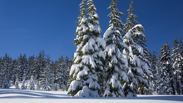 snow