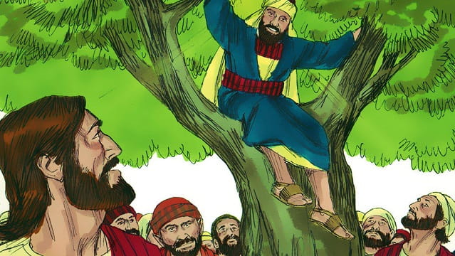 the story of Zacchaeus