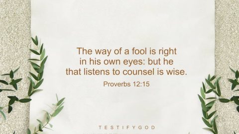 The way of a fool is right in his own eyes: but he that listens to counsel is wise. -Proverbs 12 15