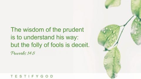 The wisdom of the prudent is to understand his way: but the folly of fools is deceit.Proverbs 14:8