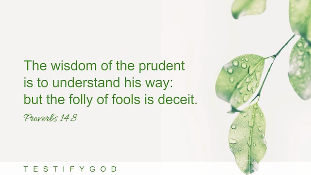 Proverbs 14:8, The wisdom of the prudent is to understand his way: but the folly of fools is deceit.