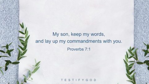 My son, keep my words, and lay up my commandments with you. - Proverbs 7:1