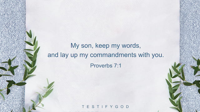 Proverbs 7:1, My son, keep my words, and lay up my commandments with you.