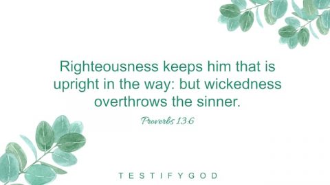 Righteousness keeps him that is upright in the way: but wickedness overthrows the sinner. - Proverbs 13:6
