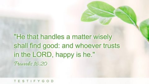 Proverbs 16:20 "He that handles a matter wisely shall find good: and whoever trusts in the LORD, happy is he." 