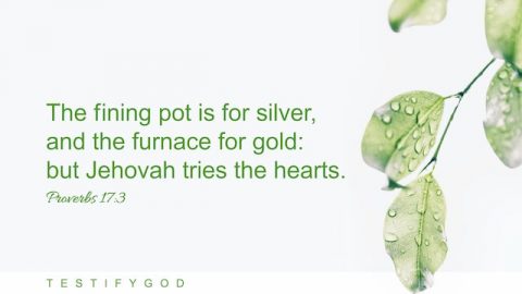 Proverbs 17:3 "The fining pot is for silver, and the furnace for gold: but Jehovah tries the hearts."