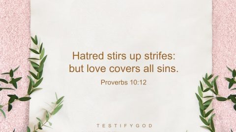 Hatred stirs up strifes: but love covers all sins. -Proverbs 10 12