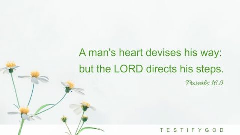 Proverbs 16:9 "A man's heart devises his way: but the LORD directs his steps."