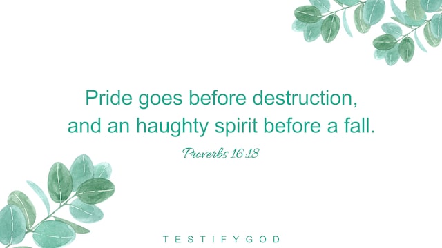 Proverbs 16:18 Pride goes before destruction, and an haughty spirit before a fall.