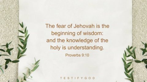 The fear of the LORD is the beginning of wisdom: and the knowledge of the holy is understanding. - Proverbs 9:10