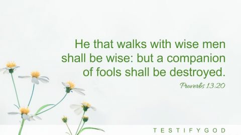 Proverbs 13:20
