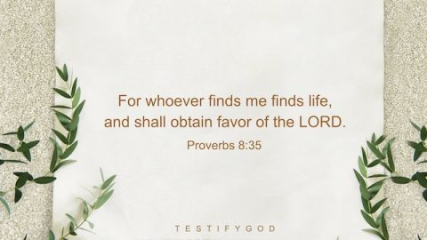 For whoever finds me finds life, and shall obtain favor of the LORD. - Proverbs 8:35