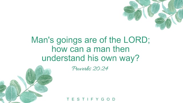 Proverbs 20:24 Man's goings are of the LORD; how can a man then understand his own way?