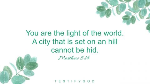 Matthew 5:14 "You are the light of the world. A city that is set on an hill cannot be hid."