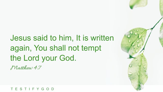 Matthew 4:7 Jesus said to him, It is written again, You shall not tempt the Lord your God.