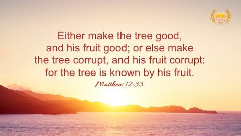 A Tree Is Known By Its Fruit, Matthew 12:33