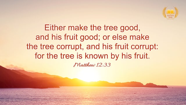  A Tree Is Known By Its Fruit, Matthew 12:33