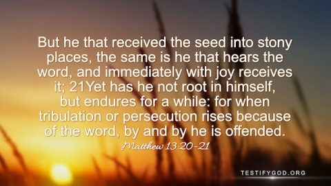 Gospel for Today Matthew 13:20–21