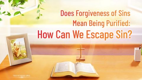 Does Forgiveness of Sins Mean Being Purified: How Can We Escape Sin?