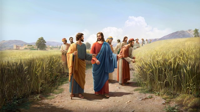 Why Parables Why Did Jesus Use Parables When He Did His Work?