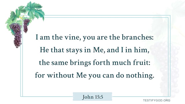 John 15:5, I am the vine, you are the branches, Gospel Reflection