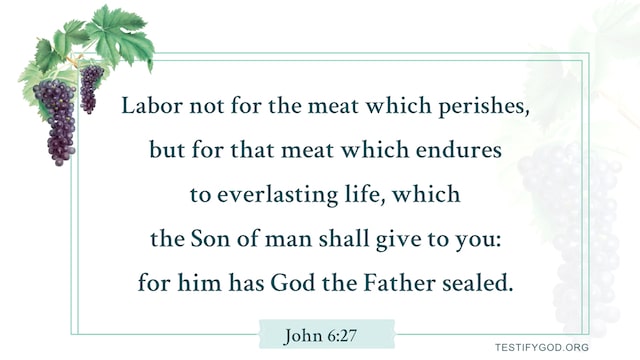 Reflection on John 6:27, We Shall Pursue Everlasting Life