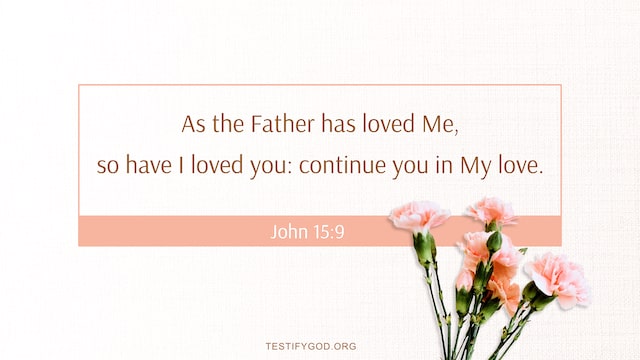 As the Father has loved me, so have I loved you: continue you in my love. – John 15:9