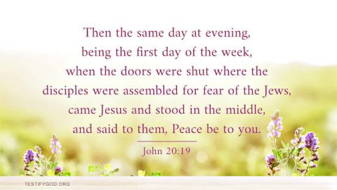 John 20 19