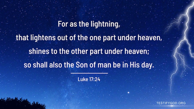 Reflection on Luke 17-24