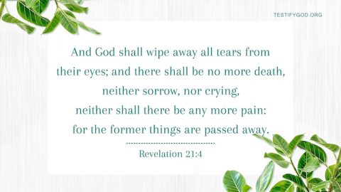 Reflection on Revelation 21-4