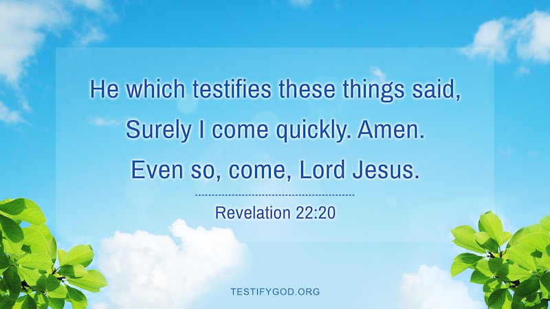 Reflection on Revelation 22:20 – Lord Comes Quickly